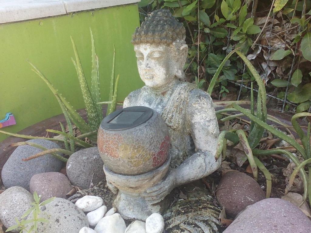 Villa Eden Rock Schoelcher Ngoại thất bức ảnh